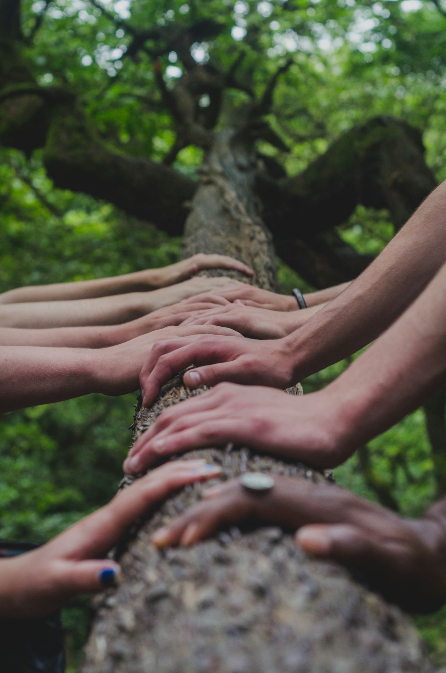How Communities Can Collaborate to Stop Substance Abuse